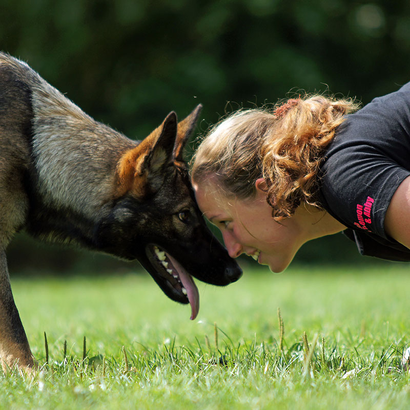 Underdog Hundeschule