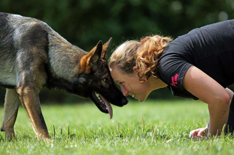 Hundeschule Underdog Sarah Graden