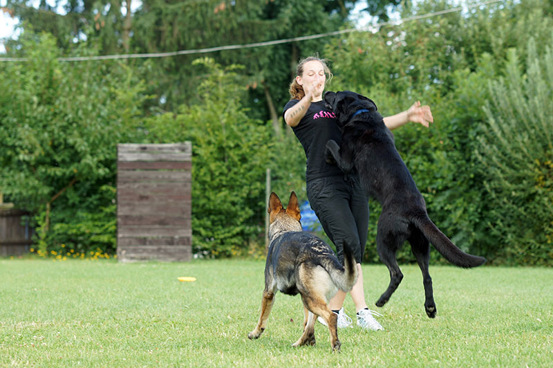 Hundeschule Underdog Sarah Graden