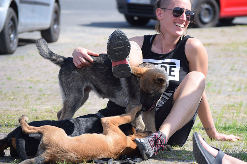 Welpen Hundeschule Underdog Sarah Graden